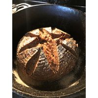 Harriet Sourdough Gluten Free Starter Culture Sachet